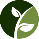 Fruit Tree Pruning