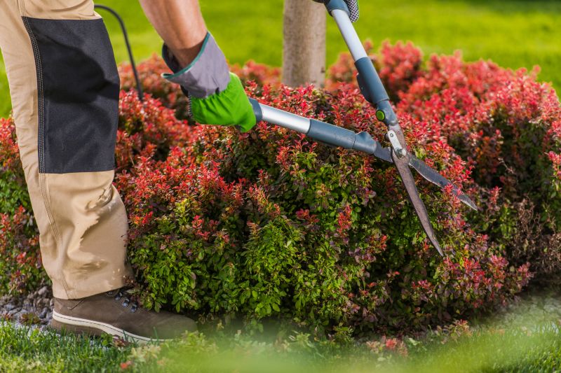 Rockwall, TX