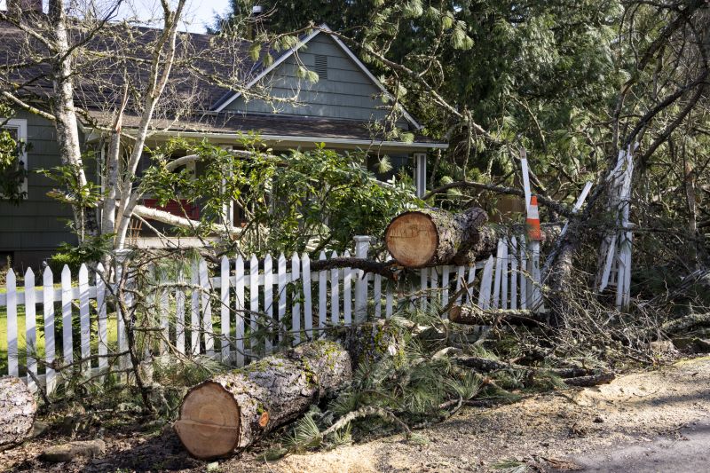 Deadwood Removal in Pottstown, PA