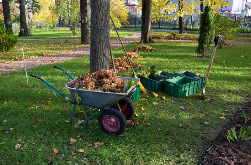 Mulched Leaves on Garden Bed