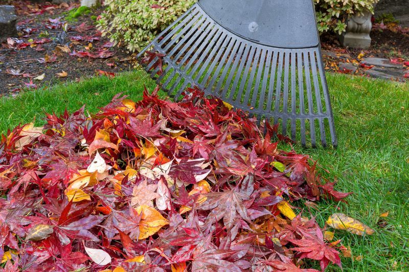 Final Fall Yard Tidy