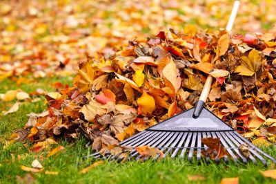 Seasonal Yard Cleanup