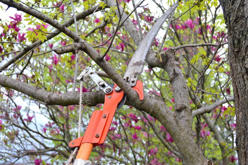 Seasonal Pruning Tools