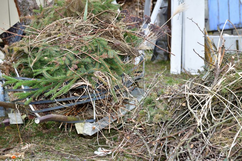 Collected Prunings in a Yard