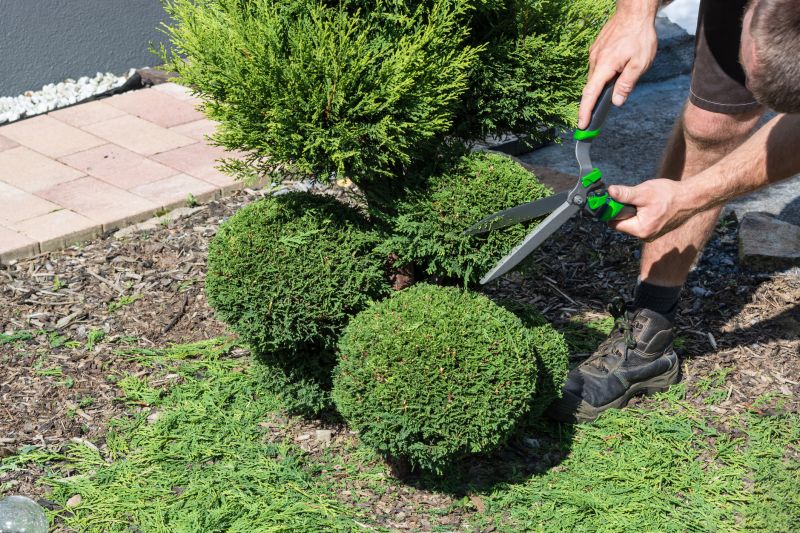 Shrub Trimming, Shaping, Pruning, Or Removal